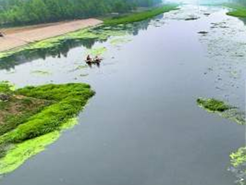 郑州市贾鲁河水遭受比较严重环境污染，每天近二十吨污水排进